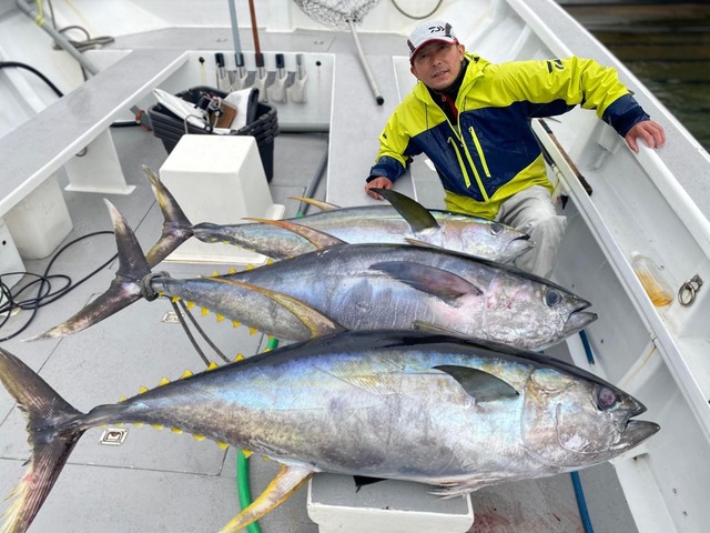 キハダマグロ(キハダ)