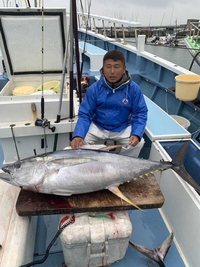 キハダマグロ(キハダ)