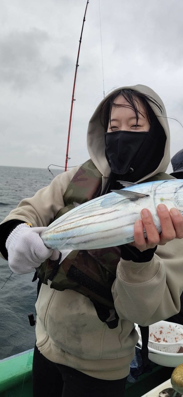 ホンカツオ(カツオ)