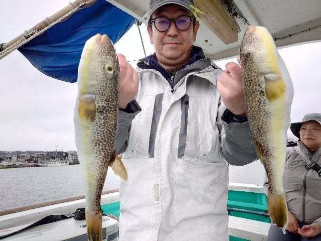 ショウサイフグ