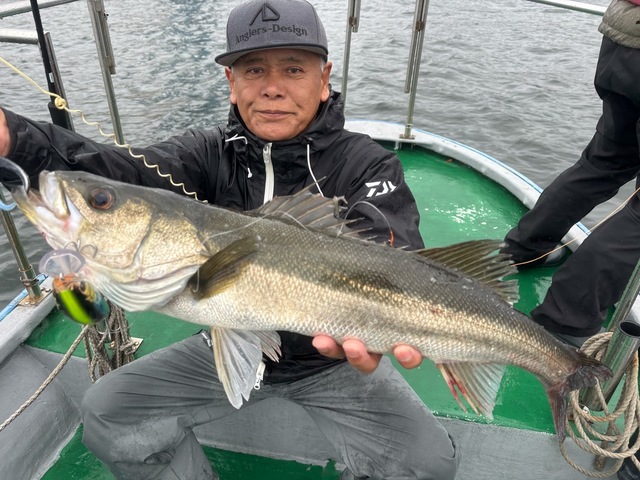 シーバス(スズキ)