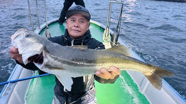 シーバス(スズキ)