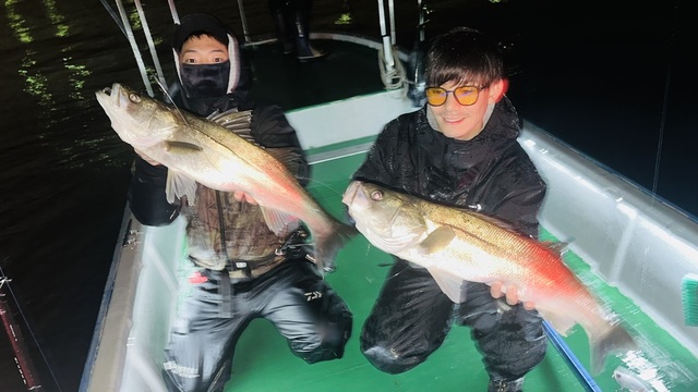 シーバス(スズキ)