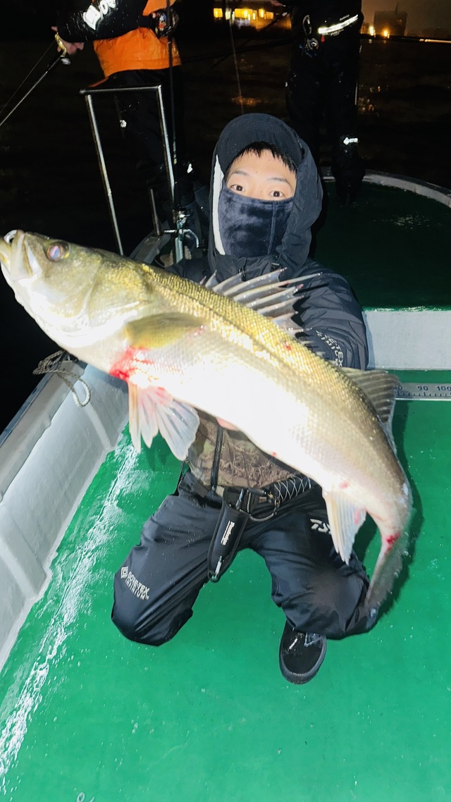 シーバス(スズキ)