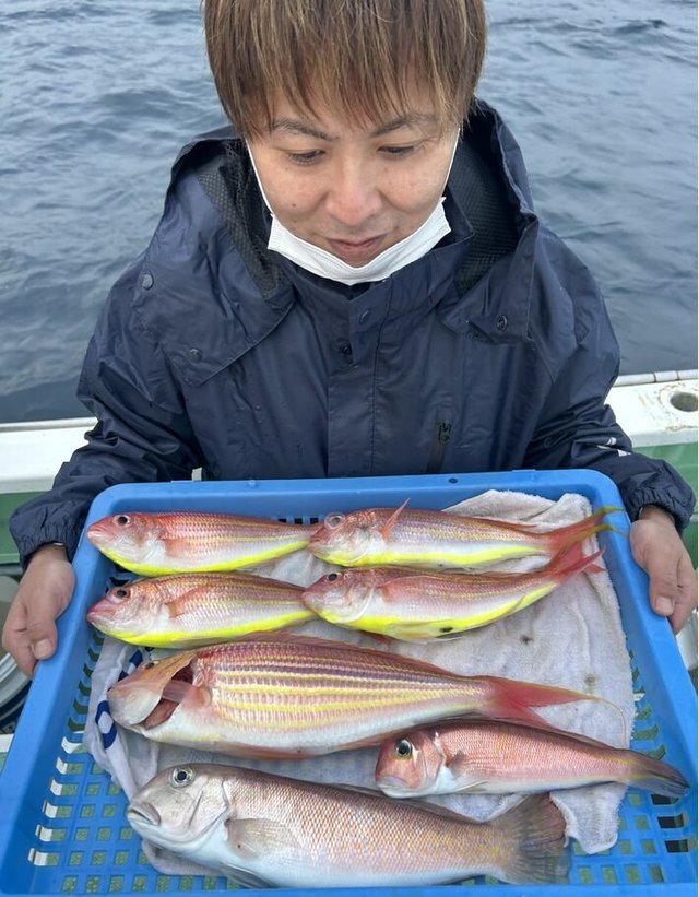 アマダイ(アカアマダイ)・イトヨリダイ