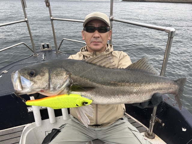 シーバス(スズキ)