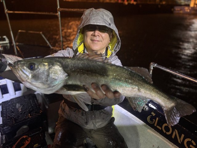 シーバス(スズキ)