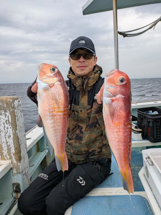 アマダイ(アカアマダイ)