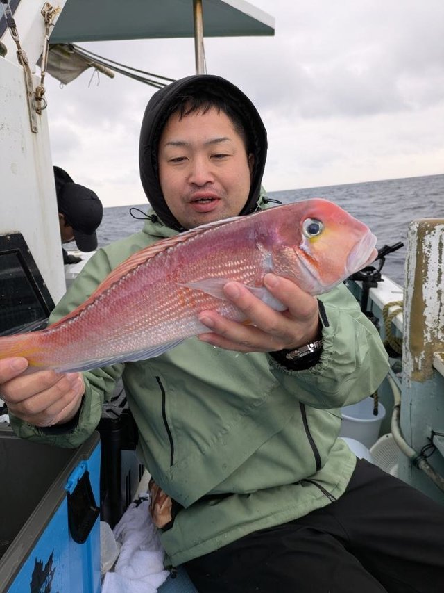 アマダイ(アカアマダイ)