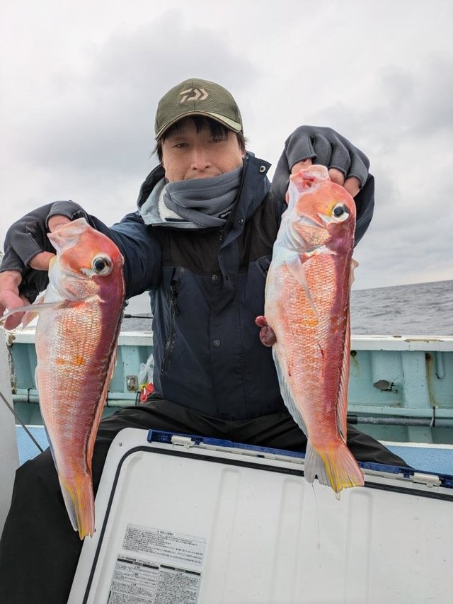 アマダイ(アカアマダイ)