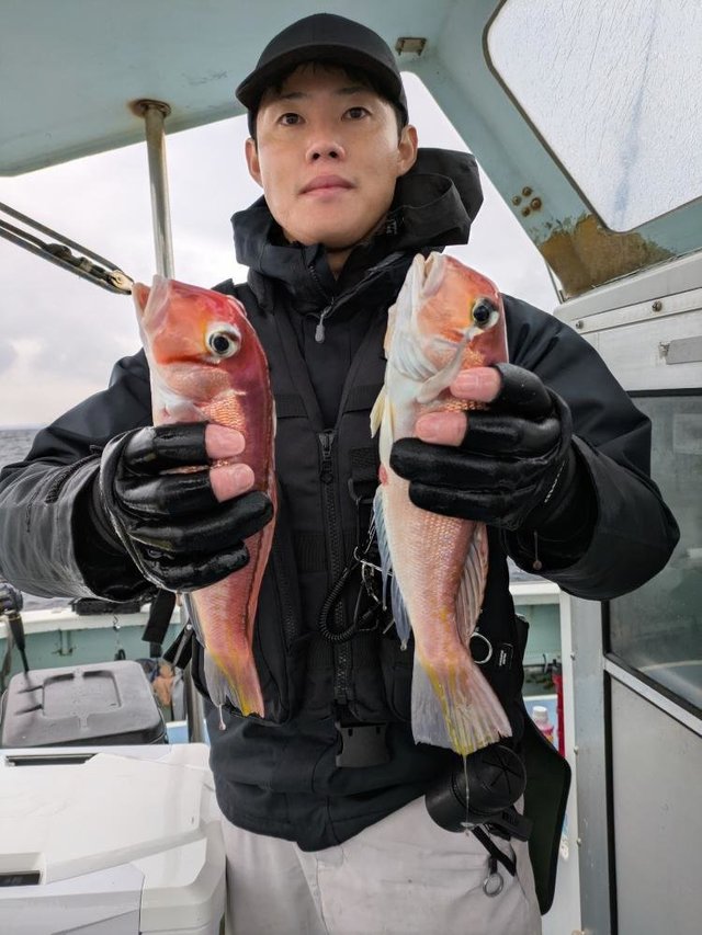 アマダイ(アカアマダイ)