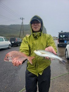 ハナダイ(チダイ)・イサキ