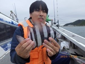 サンバソウ(イシダイ)