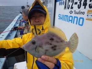 カワハギ