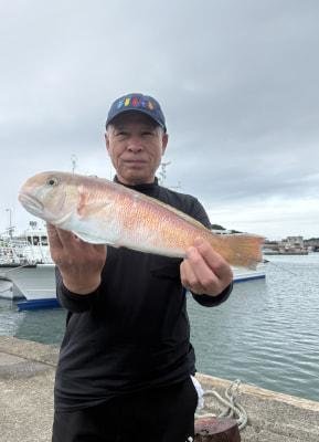 シロアマダイ