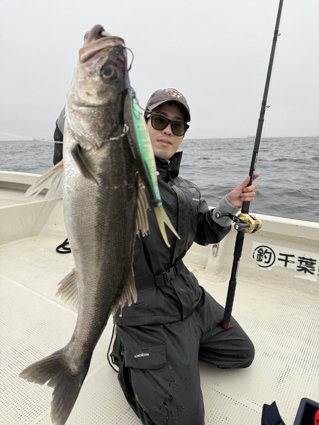 シーバス(スズキ)