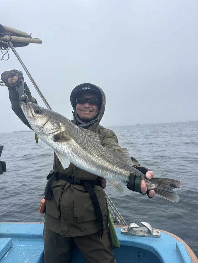 シーバス(スズキ)