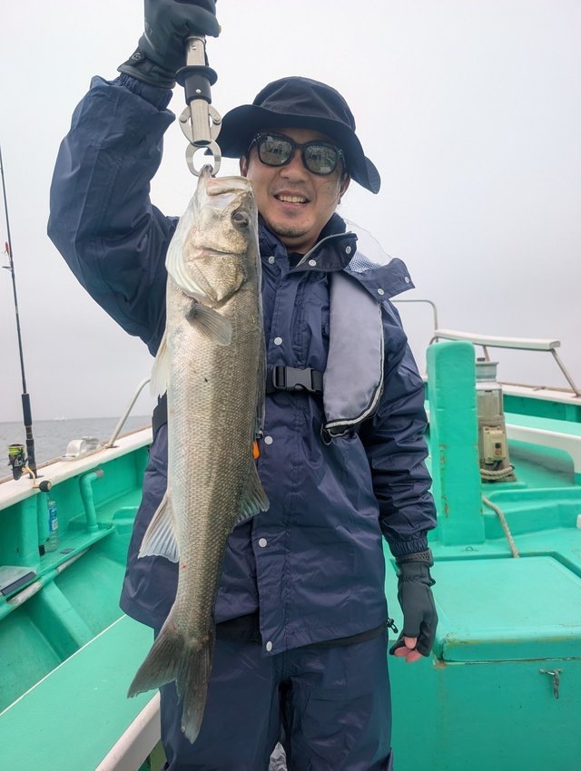 シーバス(スズキ)