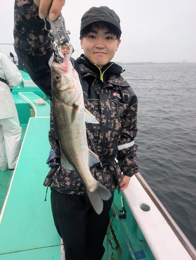 シーバス(スズキ)