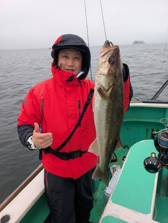 シーバス(スズキ)