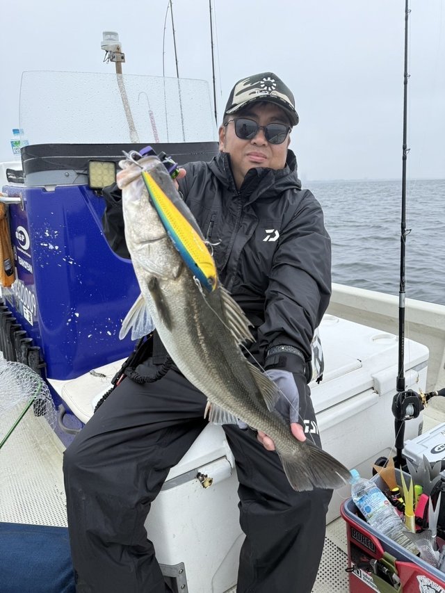 シーバス(スズキ)