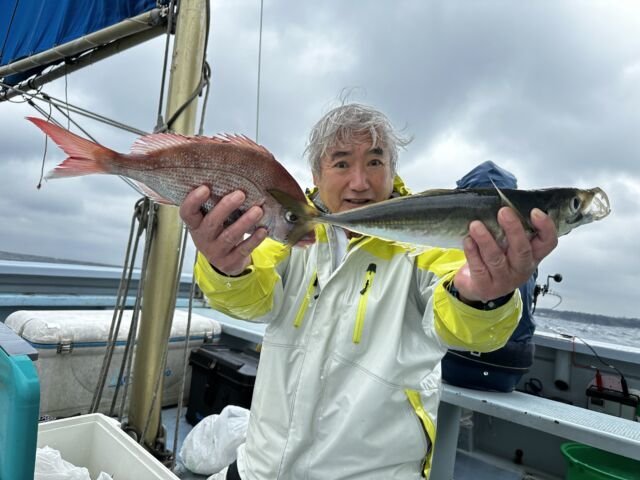 マダイ・アジ(マアジ)