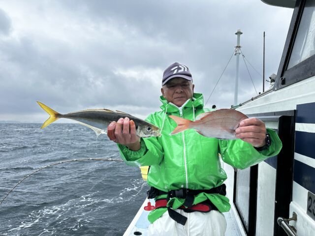 マダイ・アジ(マアジ)