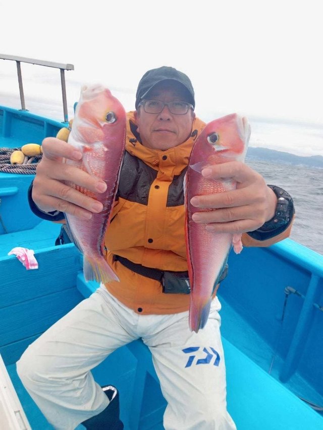 アマダイ(アカアマダイ)