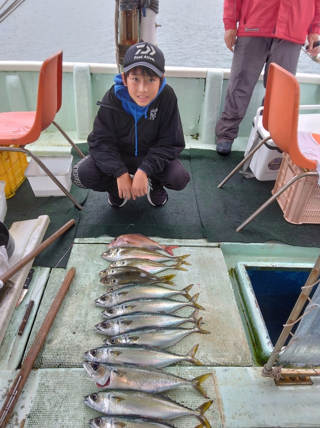 マダイ・マアジ・マサバ