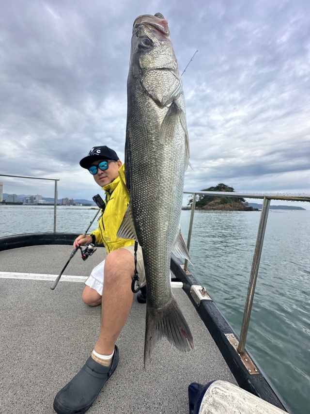 シーバス(スズキ)