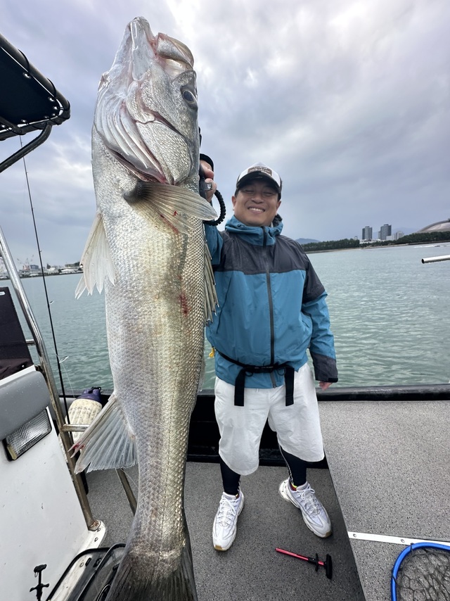 シーバス(スズキ)