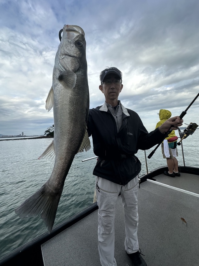 シーバス(スズキ)