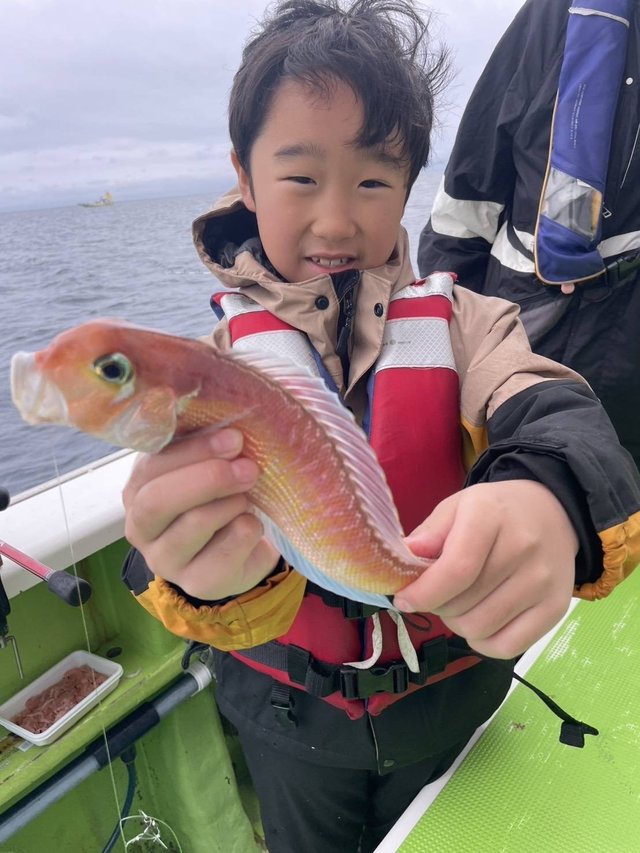 アマダイ(アカアマダイ)