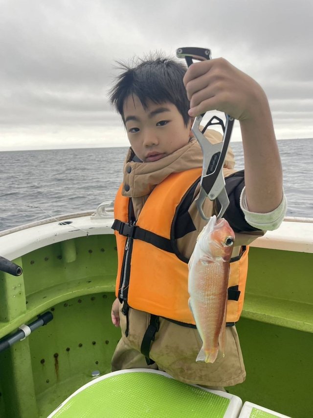 アマダイ(アカアマダイ)