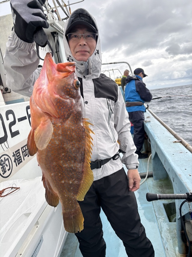 アコウ(キジハタ)