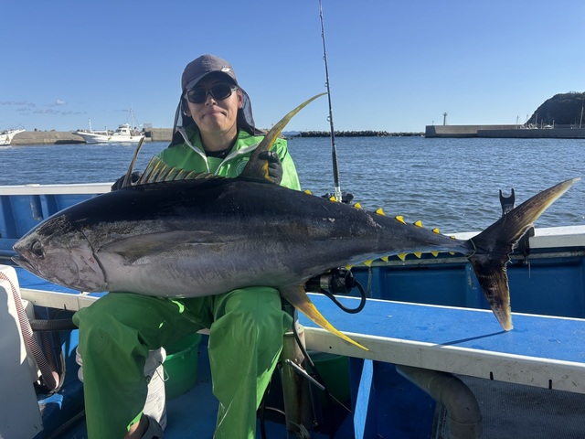 キハダマグロ(キハダ)