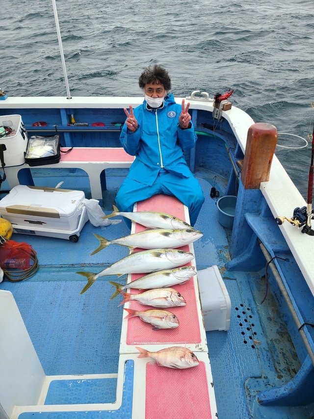 マダイ・ワラサ(ブリ)