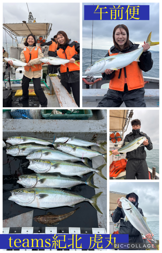 ブリ・メジロ(ブリ)・ワニゴチ