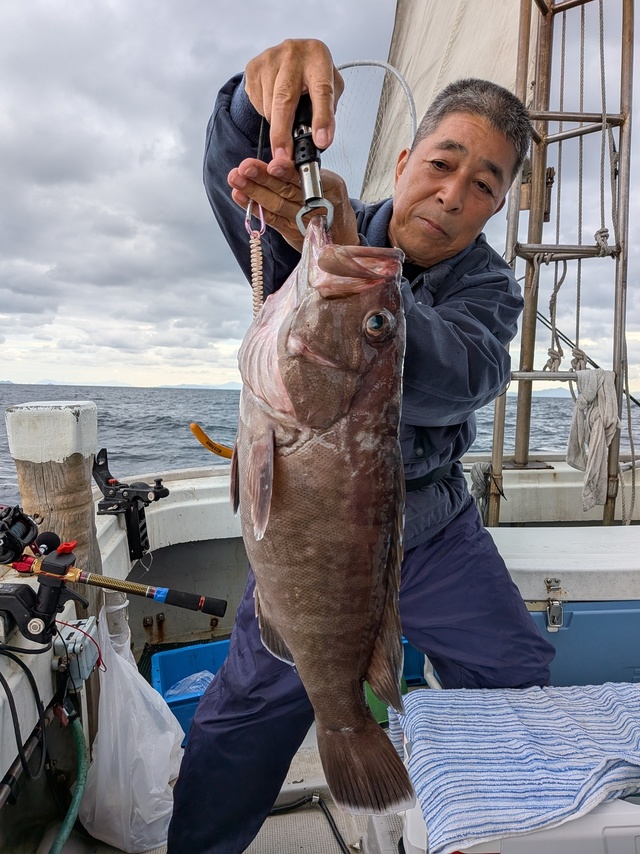 タカバ(マハタ)