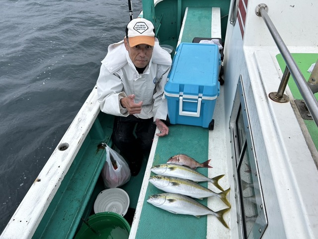 マダイ・イナダ(ブリ)