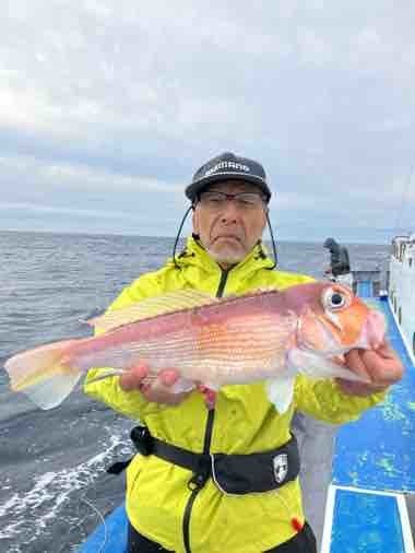 アマダイ(アカアマダイ)