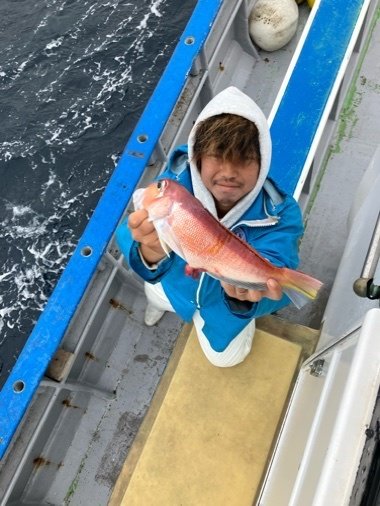 アマダイ(アカアマダイ)