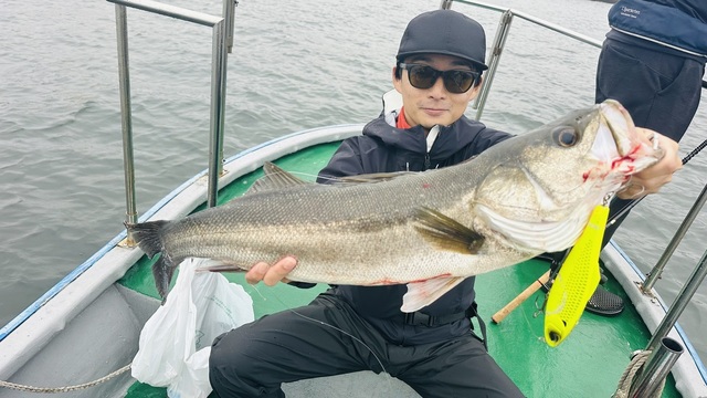 シーバス(スズキ)