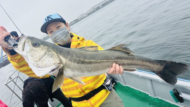 シーバス(スズキ)