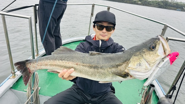 シーバス(スズキ)