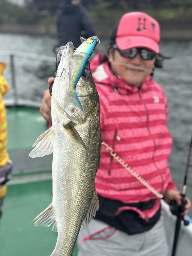 シーバス(スズキ)