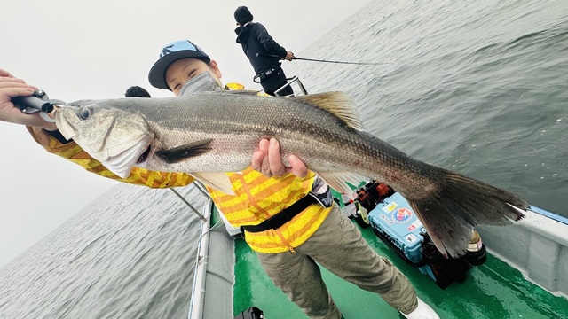 シーバス(スズキ)