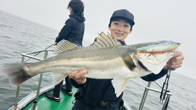 シーバス(スズキ)