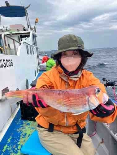 アマダイ(アカアマダイ)