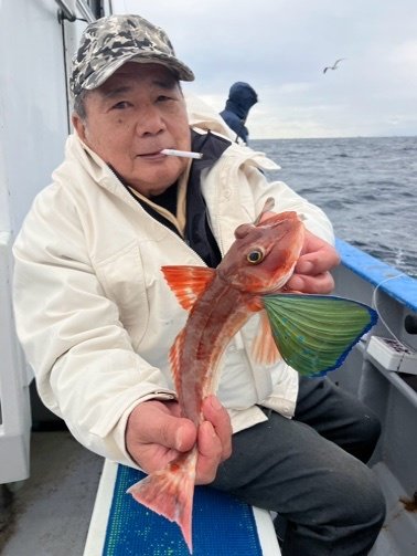 アマダイ(アカアマダイ)